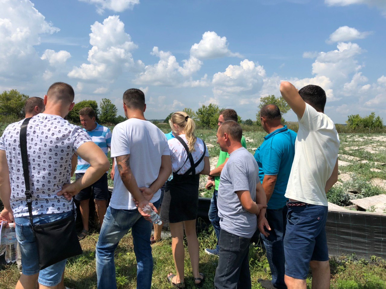 Ферма рівликів 3