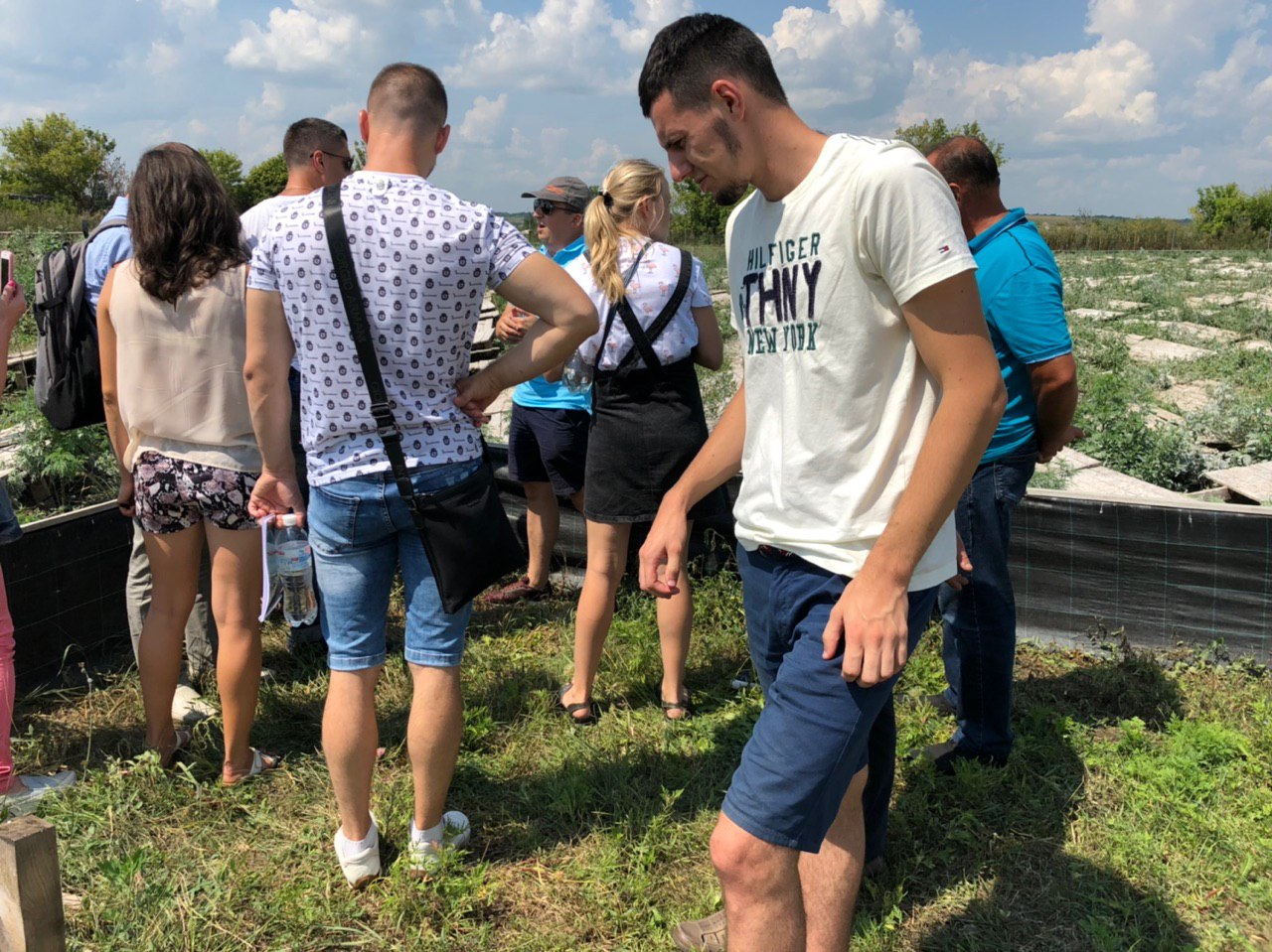 Ферма рівликів 6
