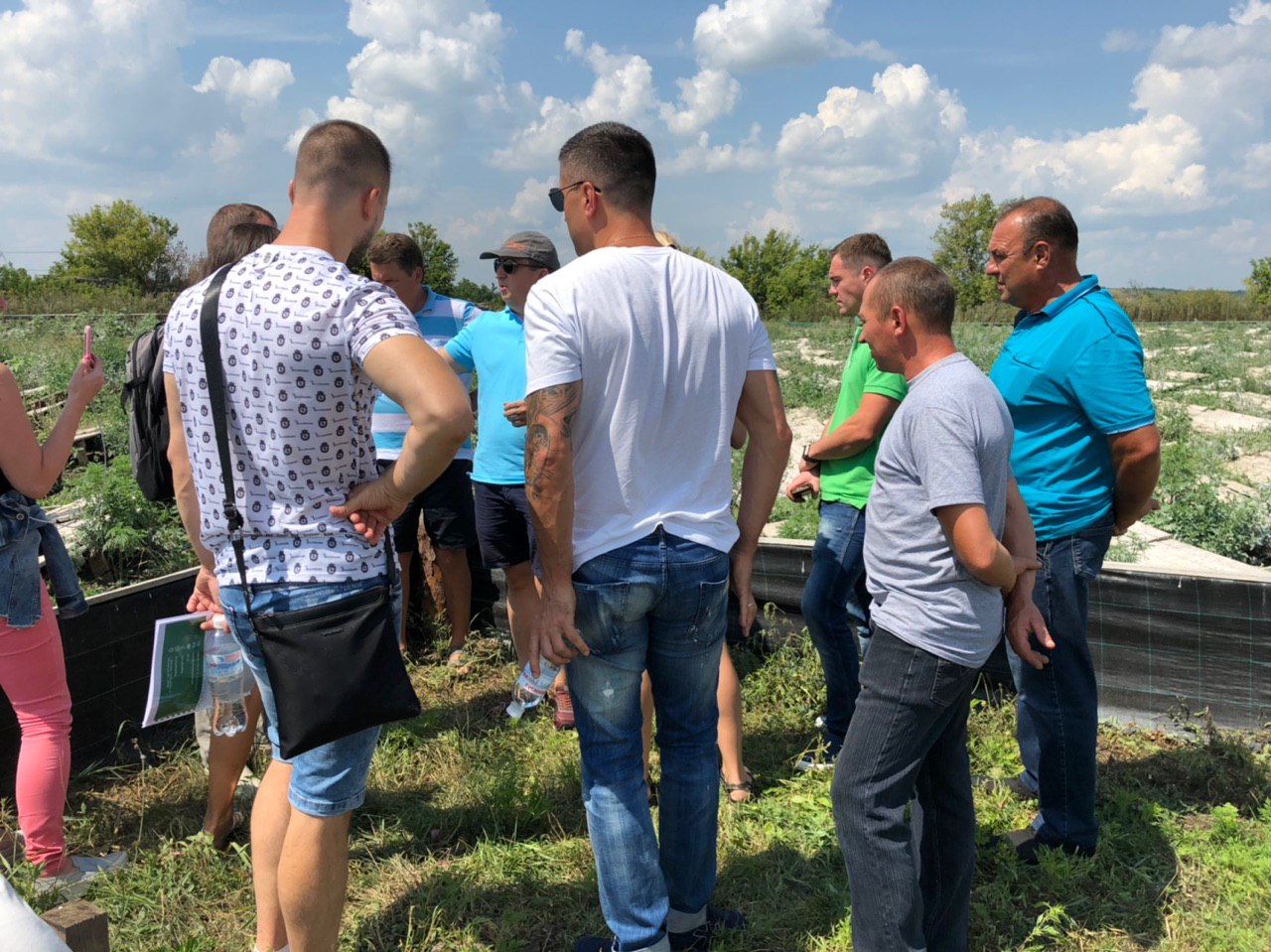 Ферма рівликів 7