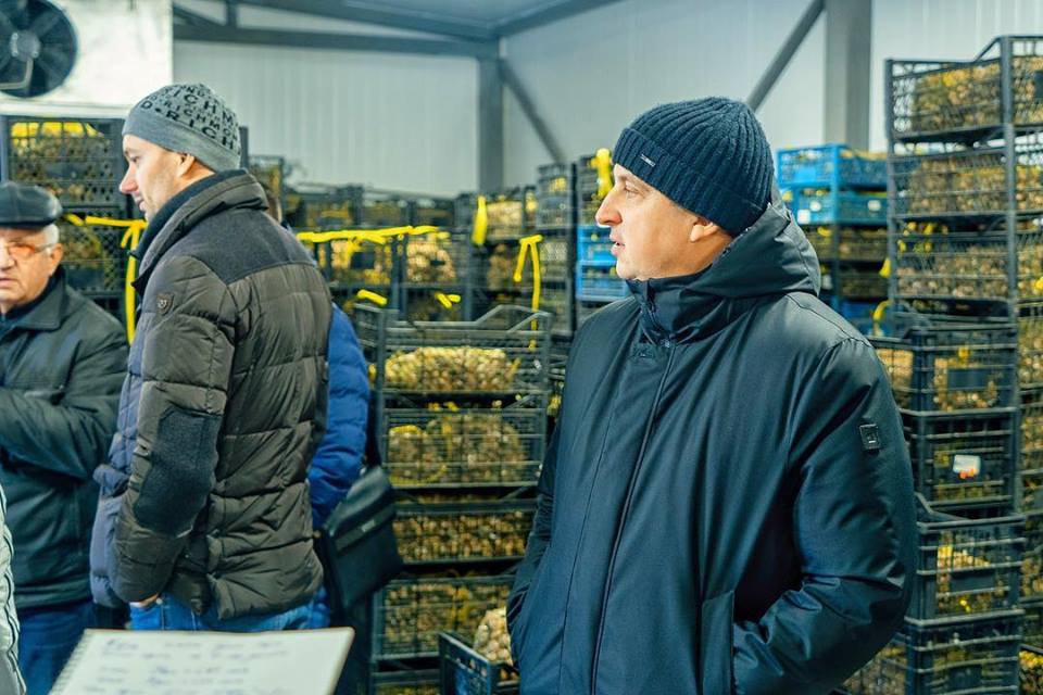 В Україні вирощують равликів для Європи